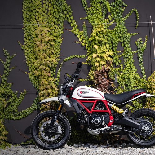 2021 Ducati Scrambler Desert Sled Gallery Image 4