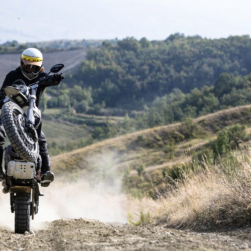2021 Ducati Scrambler Desert Sled Gallery Image 1