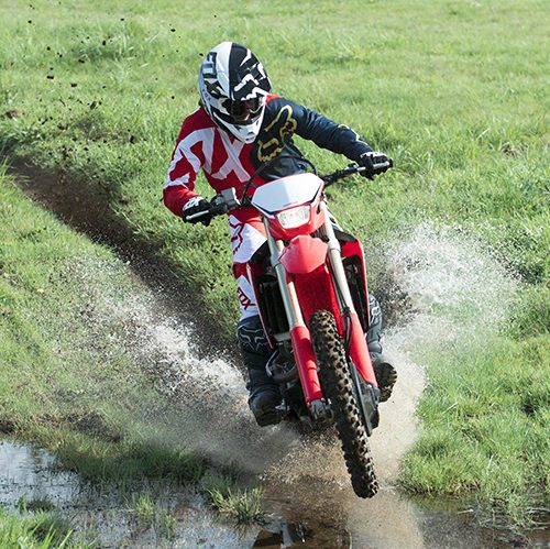 2022 Honda CRF450X Gallery Image 4
