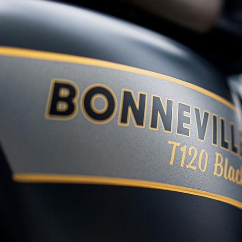 2022 Triumph Bonneville T120 Black Gold Line Gallery Image 4