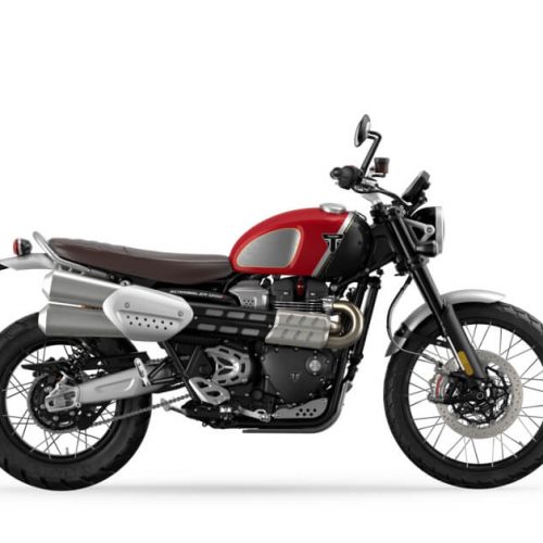 2022 Triumph 1200 XC Gold Line Edition Gallery Image 1
