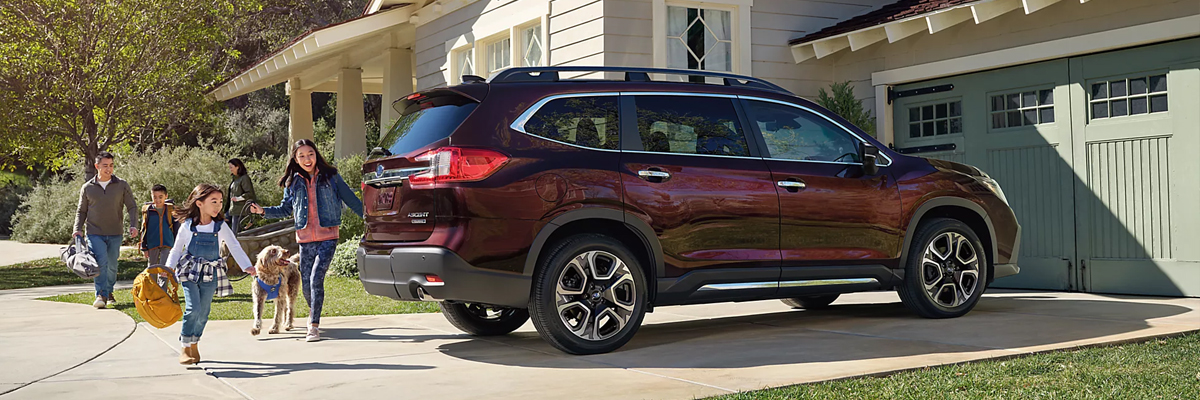 Touring shown in Dark Mahogany Pearl