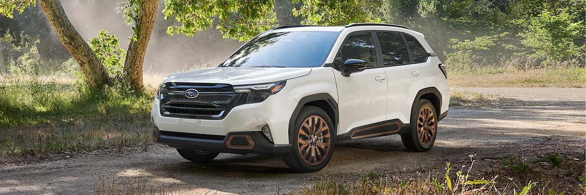 Redesigned 2025 Subaru vehicle parked on gravel road with misty field in background