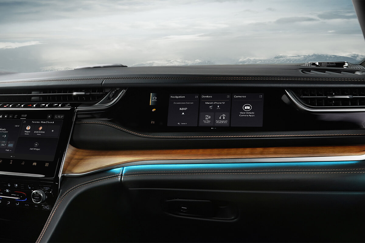 Optional passenger screen