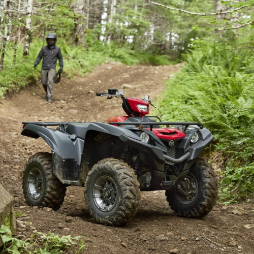 2025 Yamaha GRIZZLY EPS Gallery Image 2