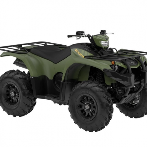 2025 Yamaha KODIAK 450 EPS Gallery Image 2