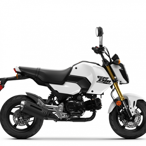 2025 Honda GROM Gallery Image 2