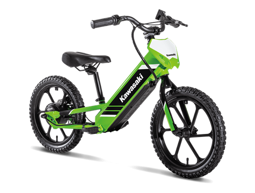 2025 Kawasaki Electrode 16 Gallery Image 1