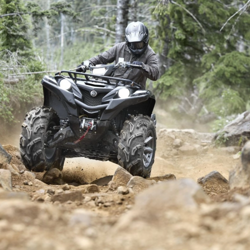 2025  Yamaha GRIZZLY EPS XT-R Gallery Image 2