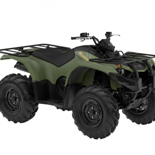 2025 Yamaha KODIAK 450 Gallery Image 1