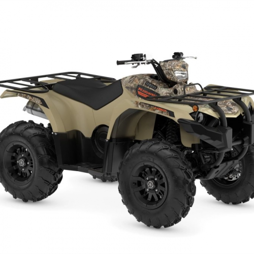 2025 Yamaha KODIAK 450 EPS Gallery Image 1