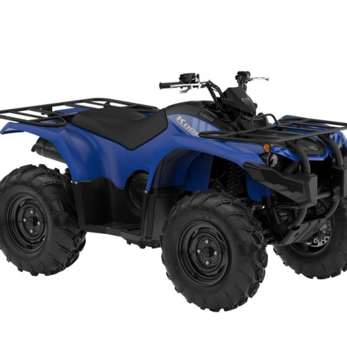 2025 Yamaha KODIAK 450 Gallery Image 2