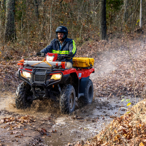 2025 Honda FOURTRAX FOREMAN 4X4 Gallery Image 5