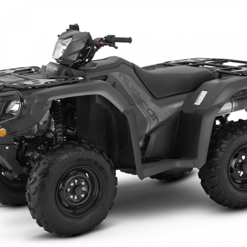 2025 Honda FOURTRAX FOREMAN RUBICON 4X4 EPS Gallery Image 3