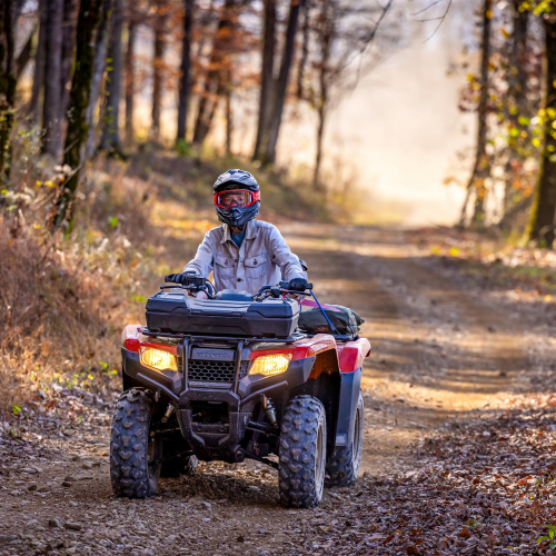 2025 Honda FOURTRAX RANCHER Gallery Image 3