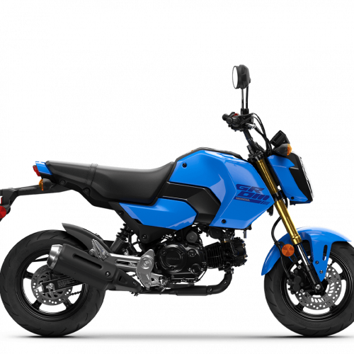 2025 Honda GROM Gallery Image 3