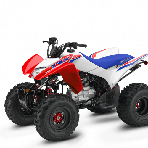 2025 Honda TRX250X Gallery Image 1