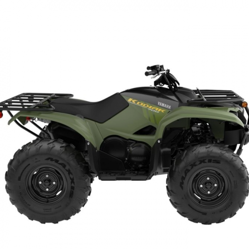 2025 Yamaha KODIAK 700 Gallery Image 1