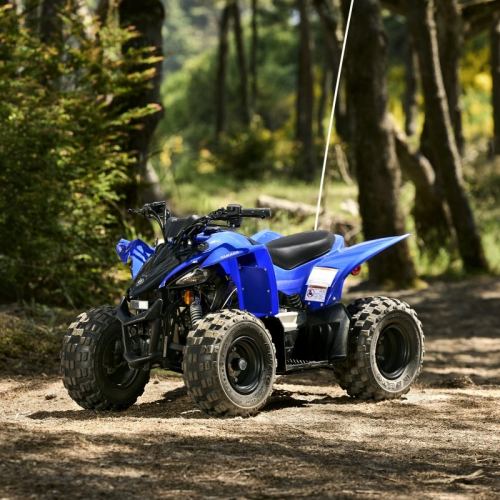 2025 Yamaha YFZ50 Gallery Image 3