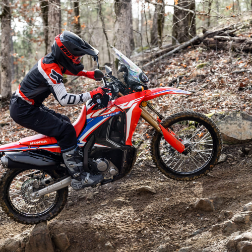 2024 Honda CRF300L RALLY Gallery Image 2