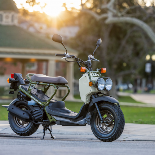 2025 Honda Ruckus Gallery Image 4