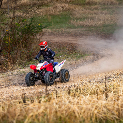 2025 Honda TRX250X Gallery Image 3