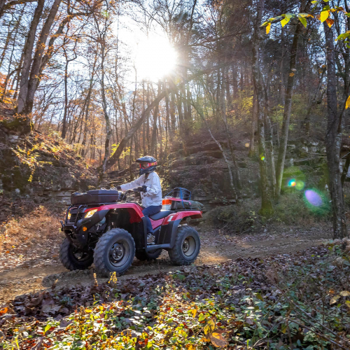 2025 Honda FOURTRAX RANCHER Gallery Image 4