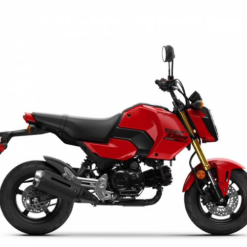 2025 Honda GROM Gallery Image 1