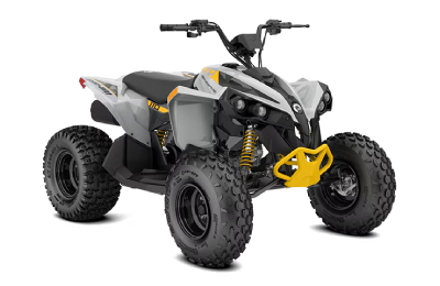 2025 Can-Am Renegade 110 EFI