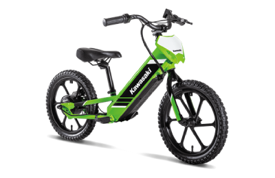 2025 Kawasaki Electrode 16