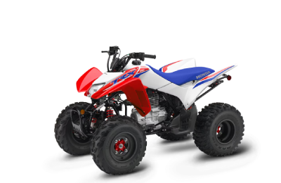 2025 Honda TRX250X