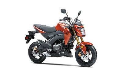 2025 Kawasaki Z125 PRO