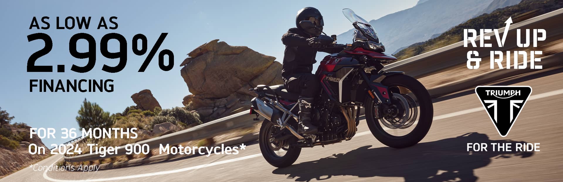 Triumph Promotions Banner