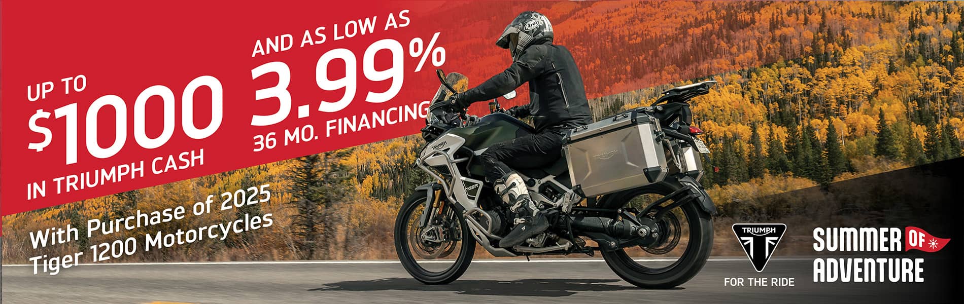 Triumph Promotions Banner